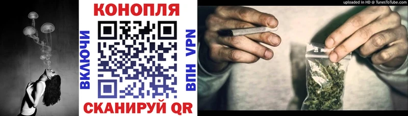 Купить где  Горбатов  Бошки Шишки план 